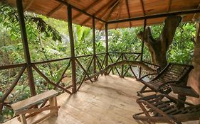 Green Park Safari House & Eco Tree House